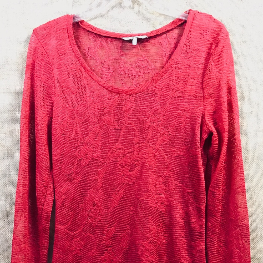 Lace Knit Top BKE